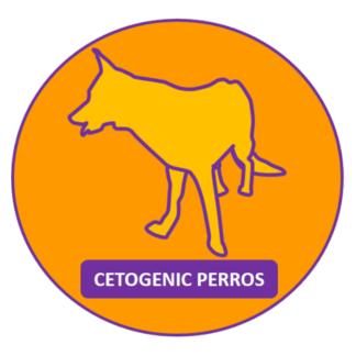Canino Cetogenic - peso ideal 10.0kg